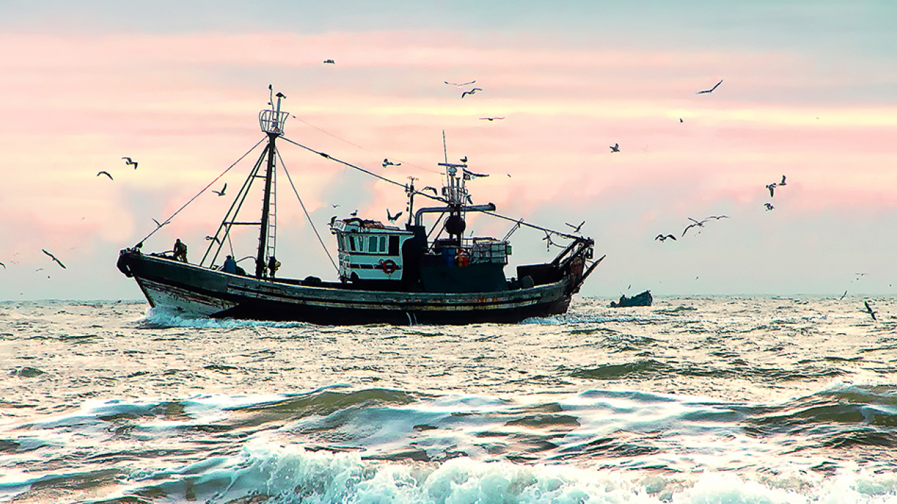 Commercial fishing vessel, image courtesy NOAA